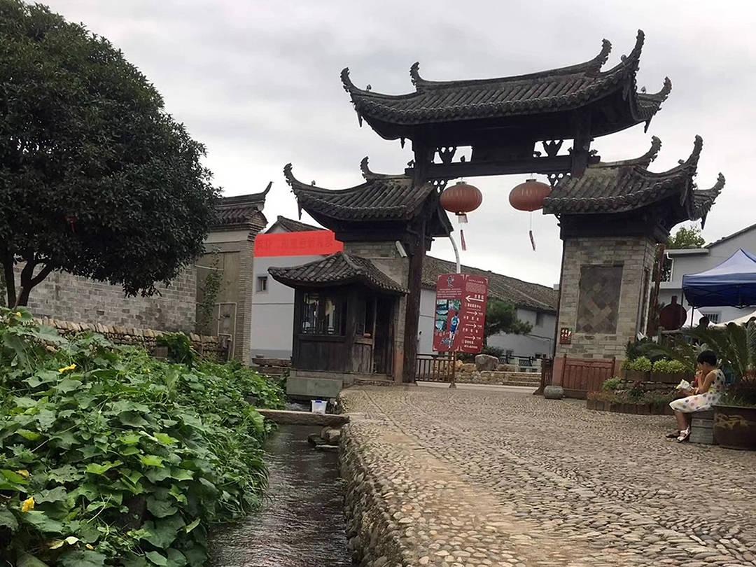 救援花栗鼠